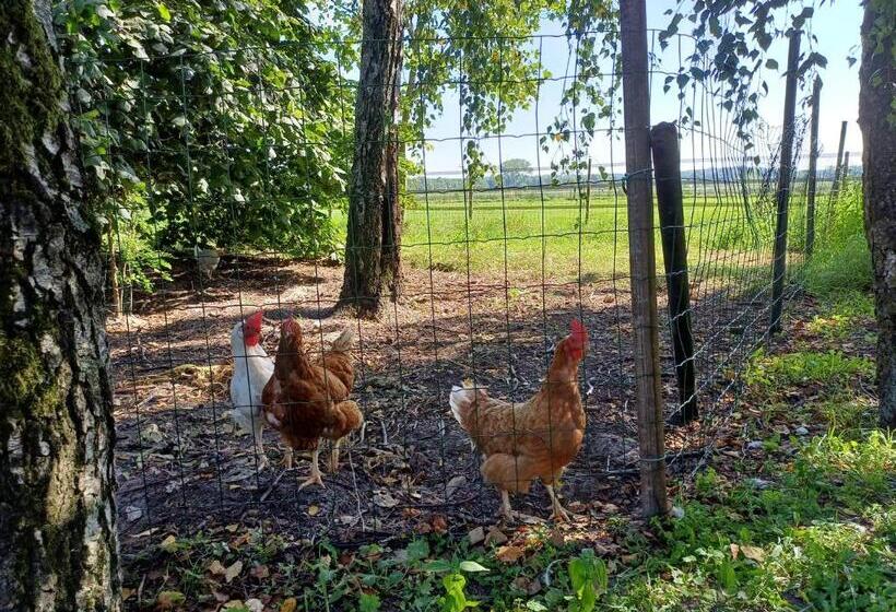 B&b Het Mooie Uitzicht