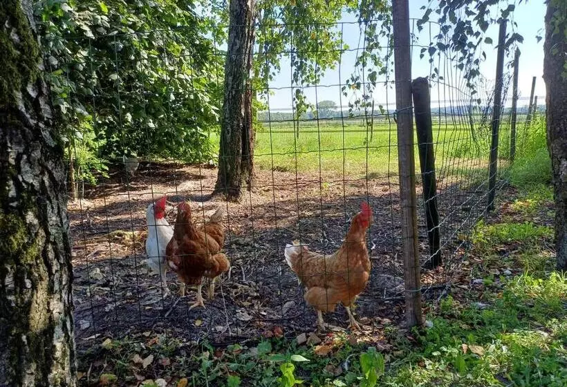 B&b Het Mooie Uitzicht