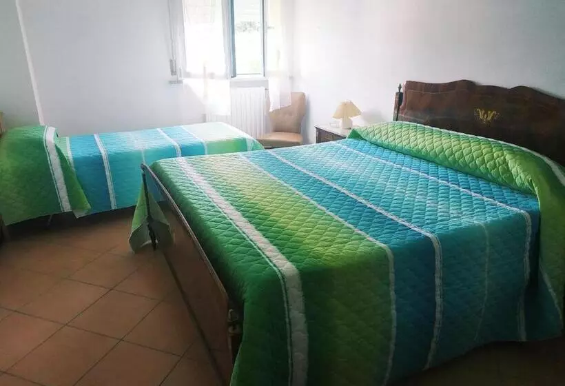 B&b L Uva Fragolina