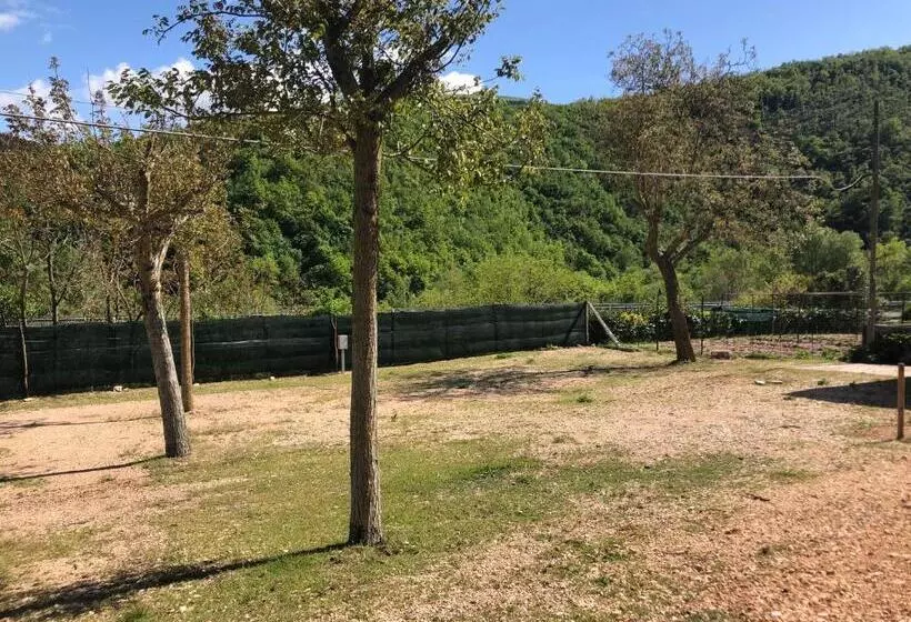 B&b Ollyfarm