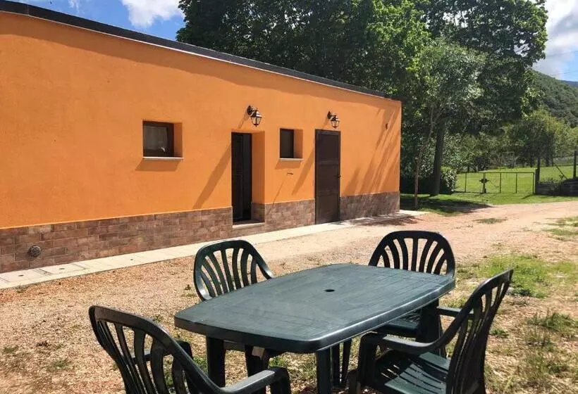 B&b Ollyfarm