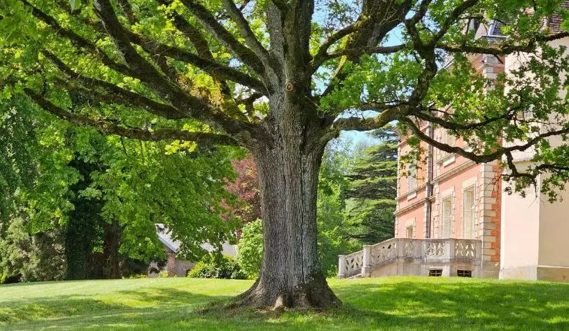 ベッドアンドブレックファースト Château De Montpatey