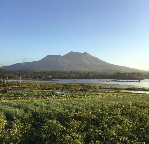 膳宿费 The Villa S Kubu Sandan