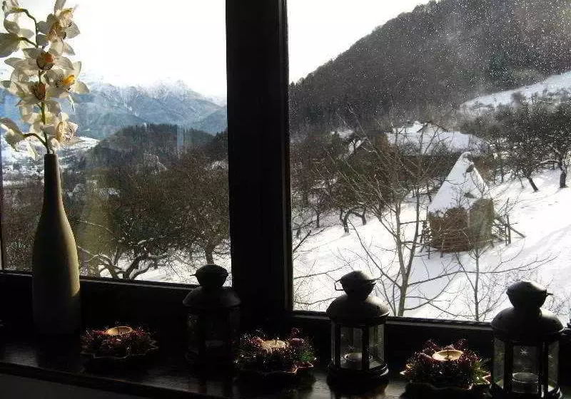 Hotel Transylvanian Inn