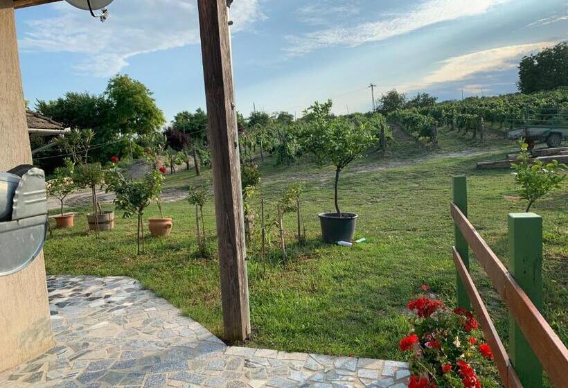 مبيت وإفطار Buzál Mórocza Pincészet és Szálláshely