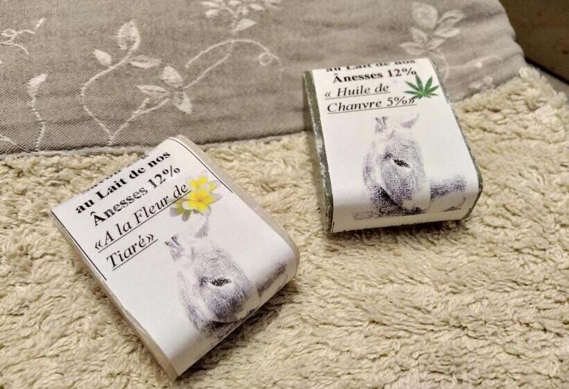 ベッドアンドブレックファースト Côté Chapelle