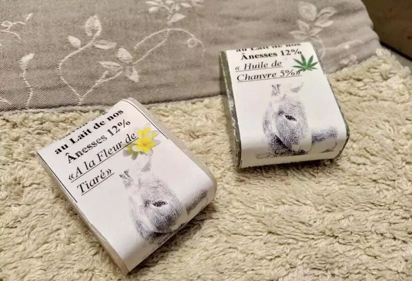 Aamiaismajoitus (B&B) Côté Chapelle