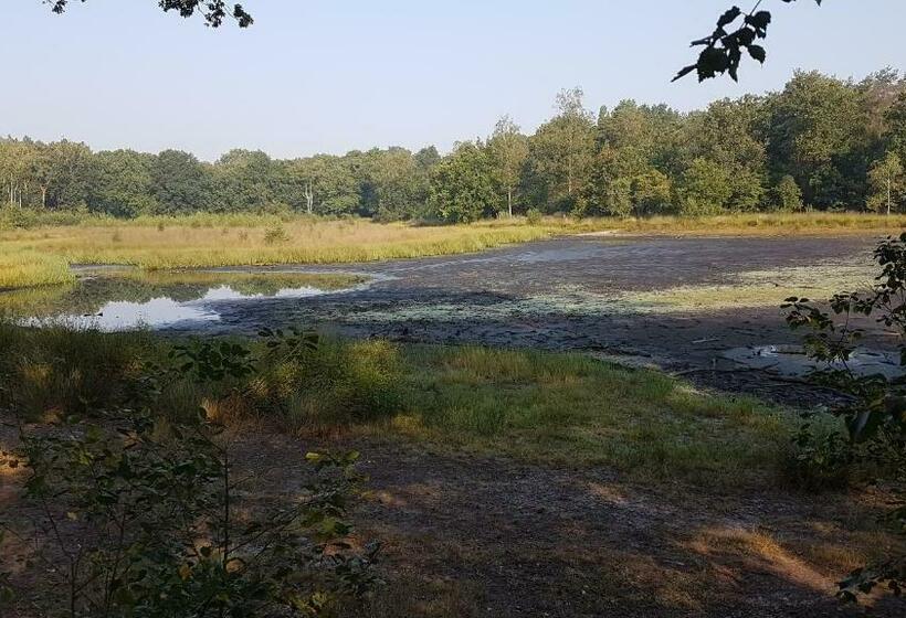 住宿加早餐  De Heidestroper