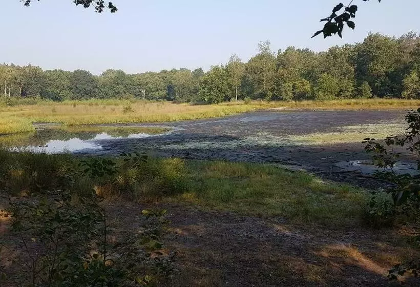 Aamiaismajoitus (B&B) De Heidestroper