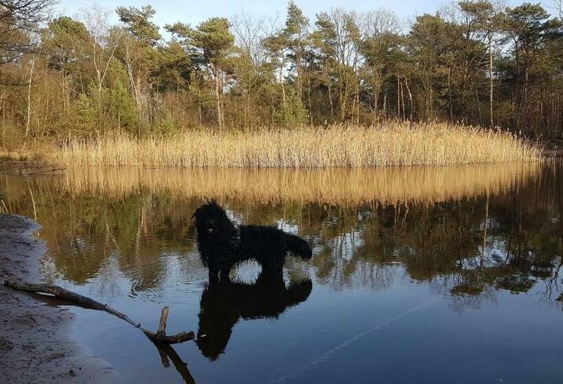 住宿加早餐  De Heidestroper