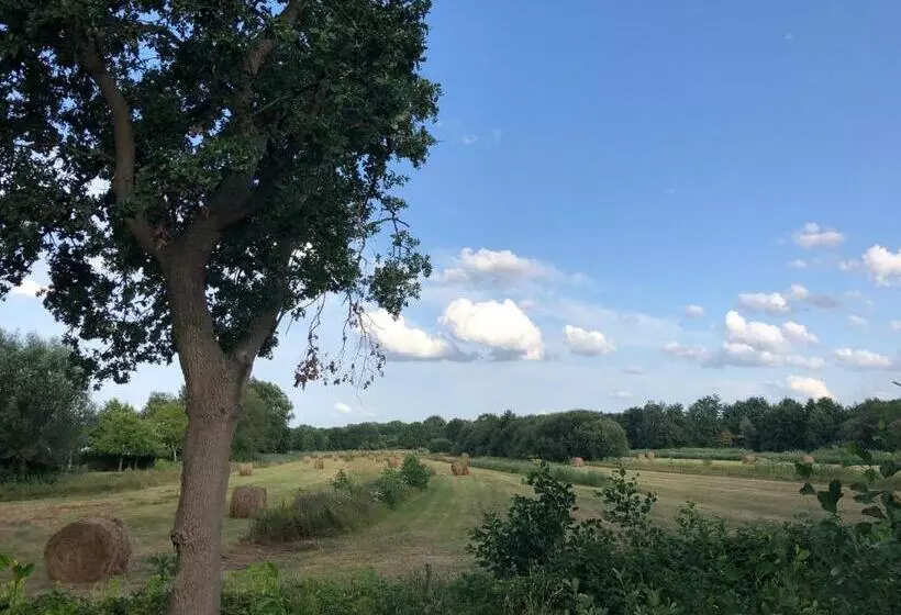 Aamiaismajoitus (B&B) De Heidestroper