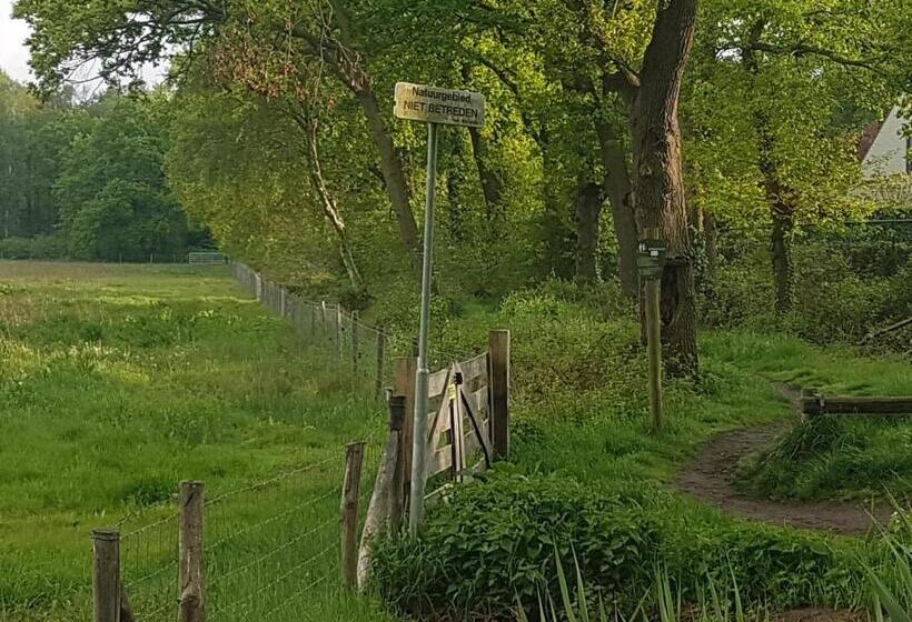 住宿加早餐  De Heidestroper