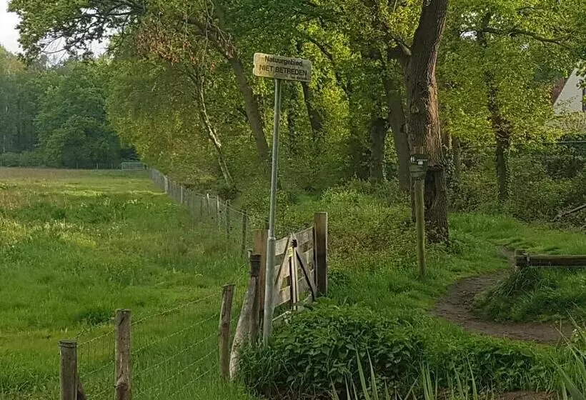 Aamiaismajoitus (B&B) De Heidestroper