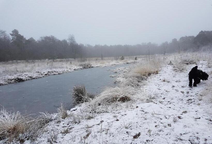 住宿加早餐  De Heidestroper