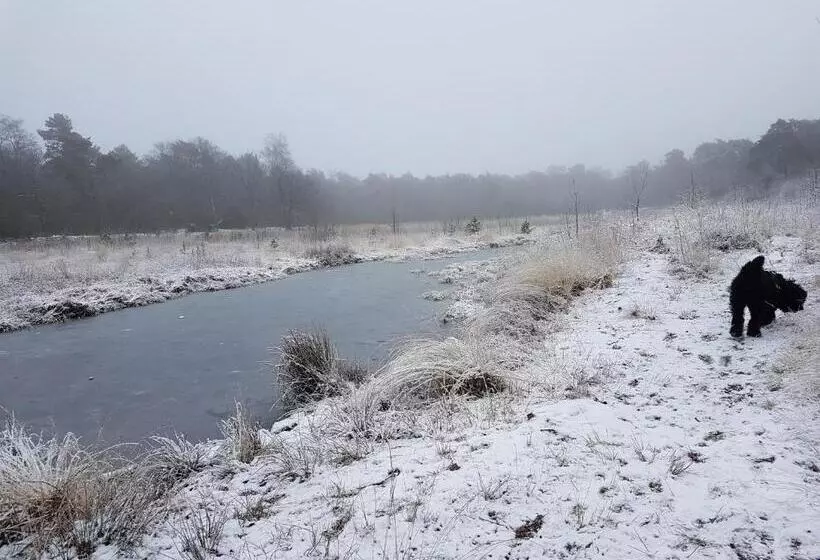 Aamiaismajoitus (B&B) De Heidestroper