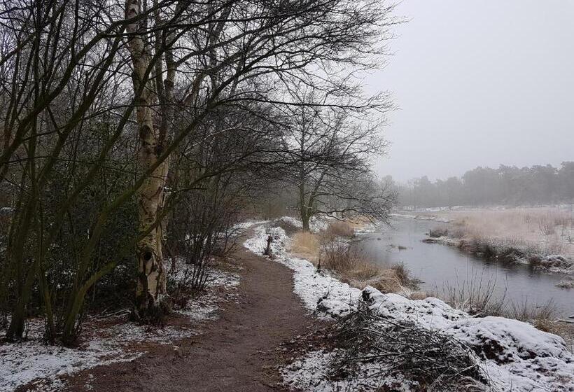 住宿加早餐  De Heidestroper