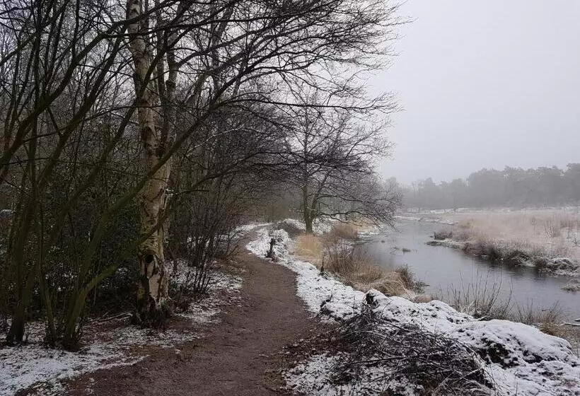 Aamiaismajoitus (B&B) De Heidestroper