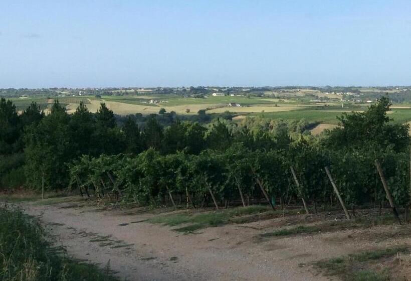 مبيت وإفطار La Coulee Verte