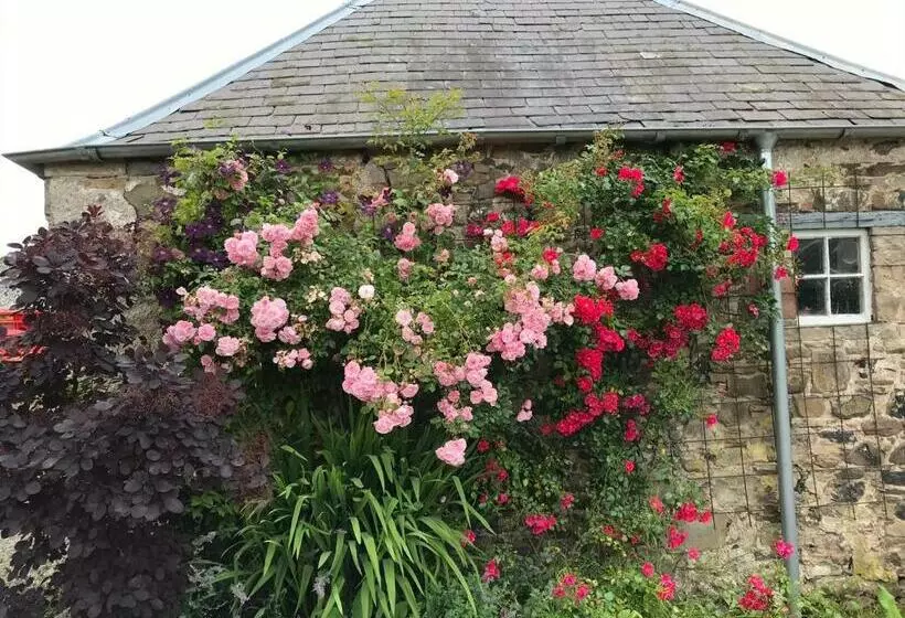 Billerwell B&b