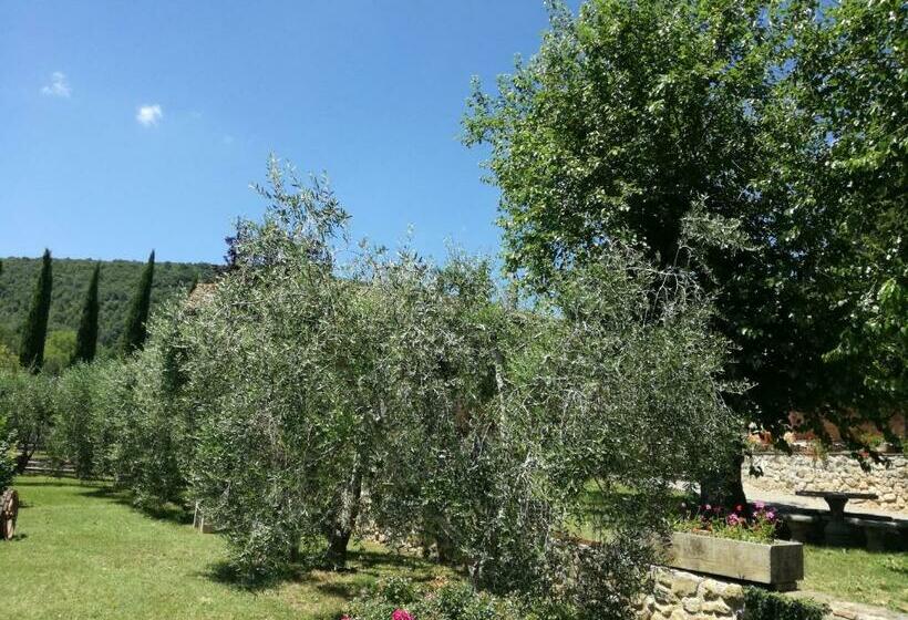 Borgo Di Barigianino