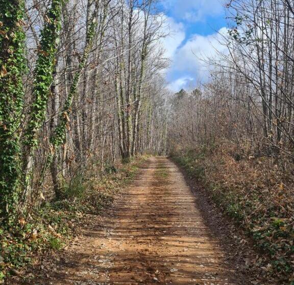 La Perle De Frayssinet Le Gélat   Chambre D Hôtes   B&b