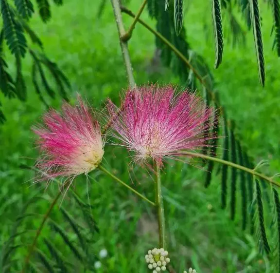 La Perle De Frayssinet Le Gélat   Chambre D Hôtes   B&b