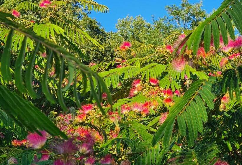 La Perle De Frayssinet Le Gélat   Chambre D Hôtes   B&b