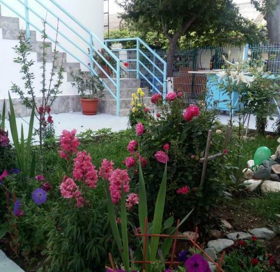 Пансион Terra Nova Solis