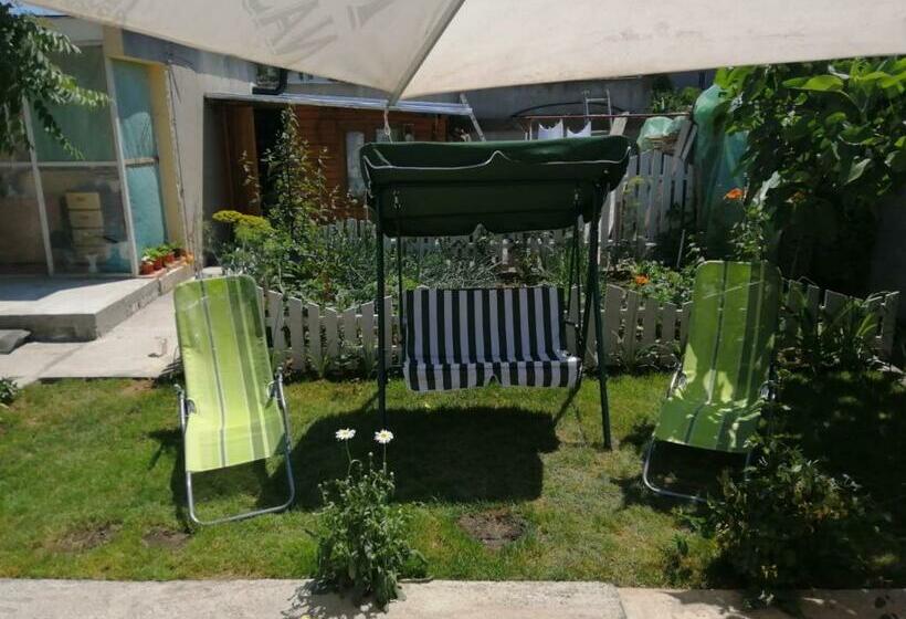 Пансион Terra Nova Solis