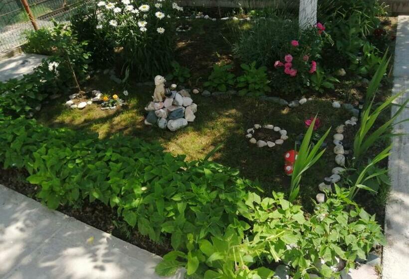 Пансион Terra Nova Solis