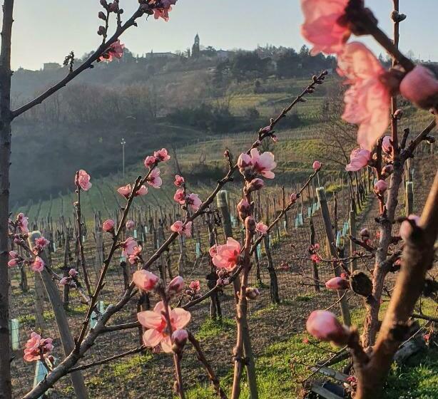 مبيت وإفطار Casaroman