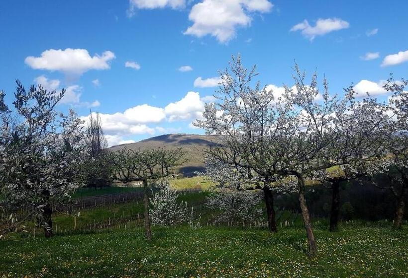 مبيت وإفطار Casaroman