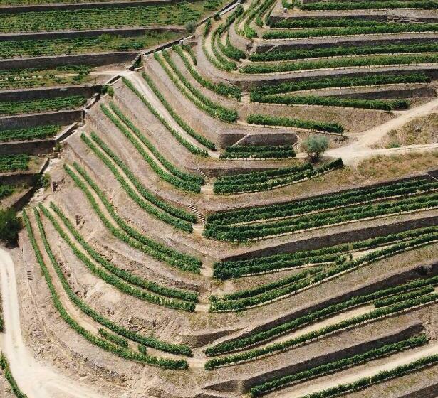 ベッドアンドブレックファースト Dois Lagares House