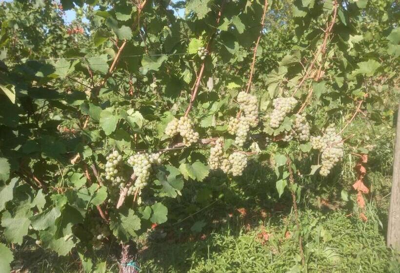 酒店 Agriturismo Fioralba