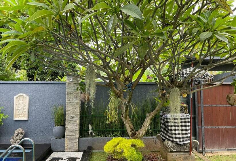 בית מלון כפרי Mias Jungle House