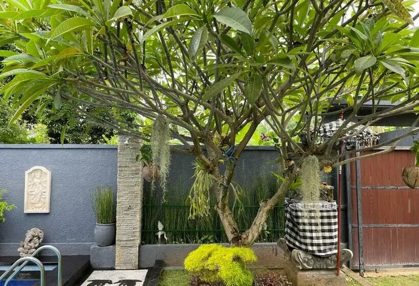 هتل Mias Jungle House