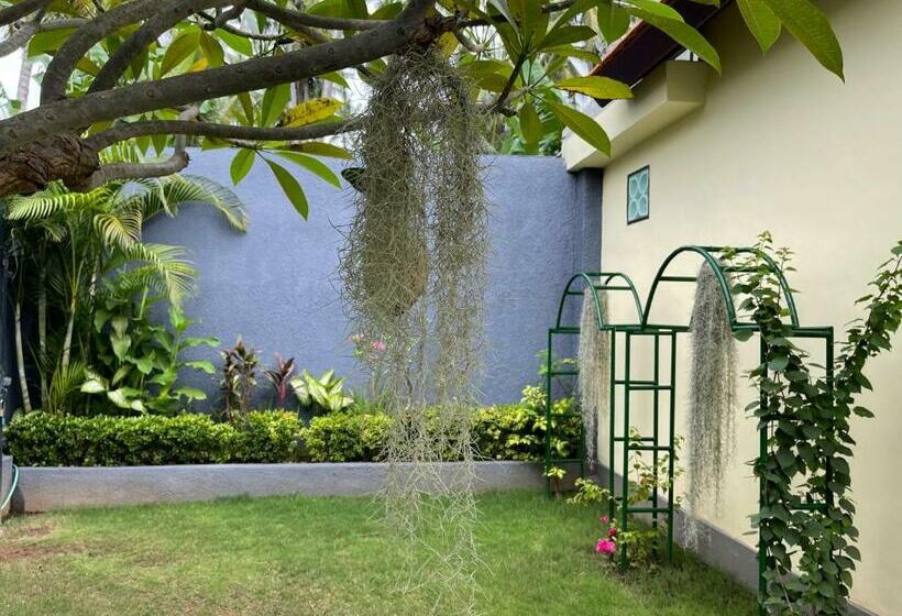 בית מלון כפרי Mias Jungle House