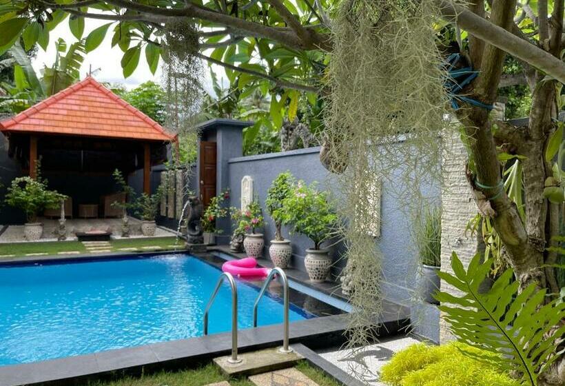 בית מלון כפרי Mias Jungle House