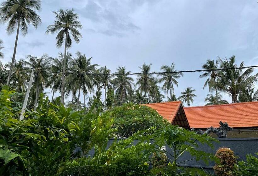 בית מלון כפרי Mias Jungle House