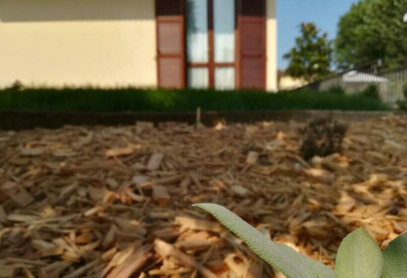 פנסיון Le Betulle Affittacamere