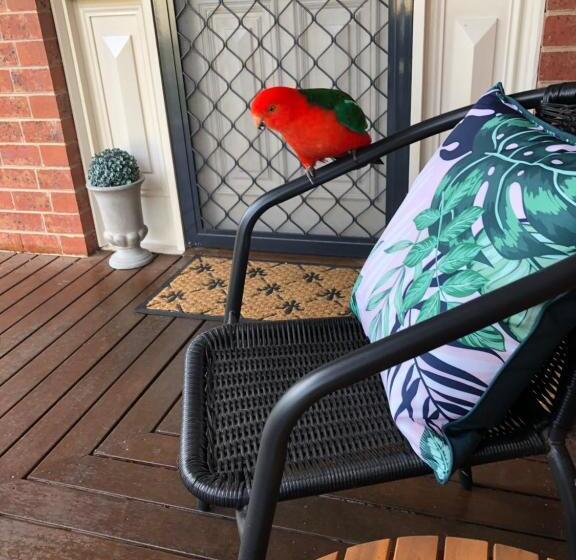 Пансион Sea Change Guesthouse