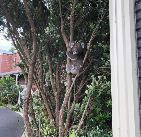 Пансион Sea Change Guesthouse