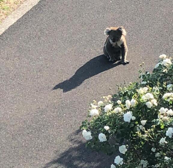 Пансион Sea Change Guesthouse