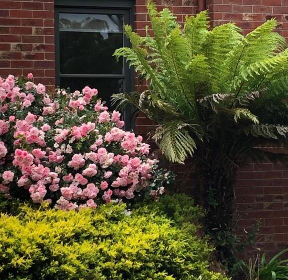 Пансион Sea Change Guesthouse