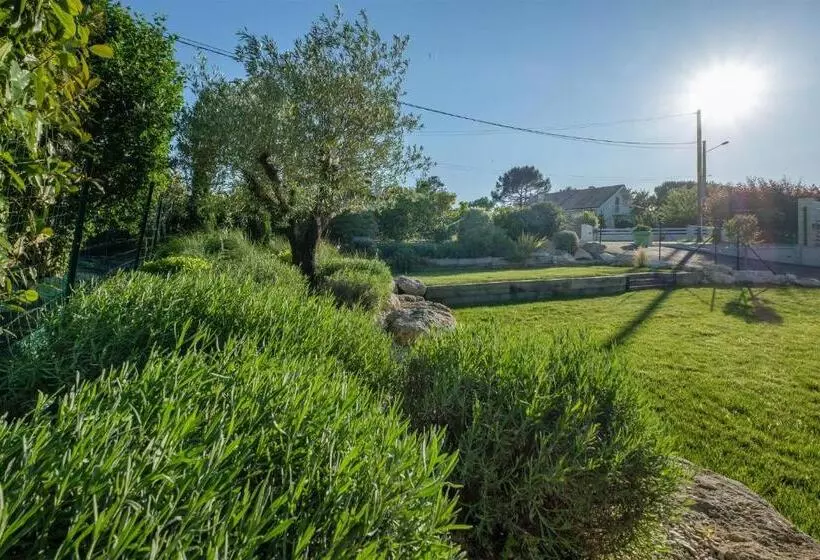 Majatalo Studio Nathalie Et Sebastien