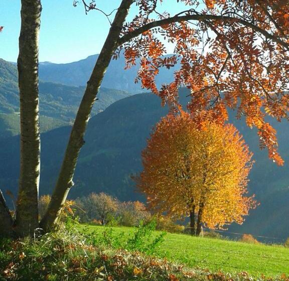 住宿加早餐  Bonichhof