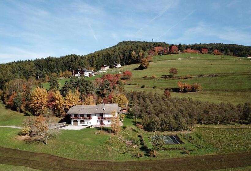 住宿加早餐  Bonichhof