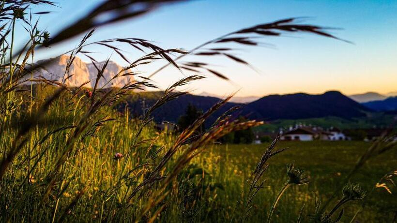 住宿加早餐  Bonichhof