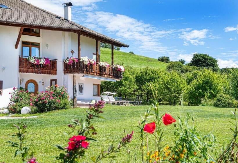 住宿加早餐  Bonichhof