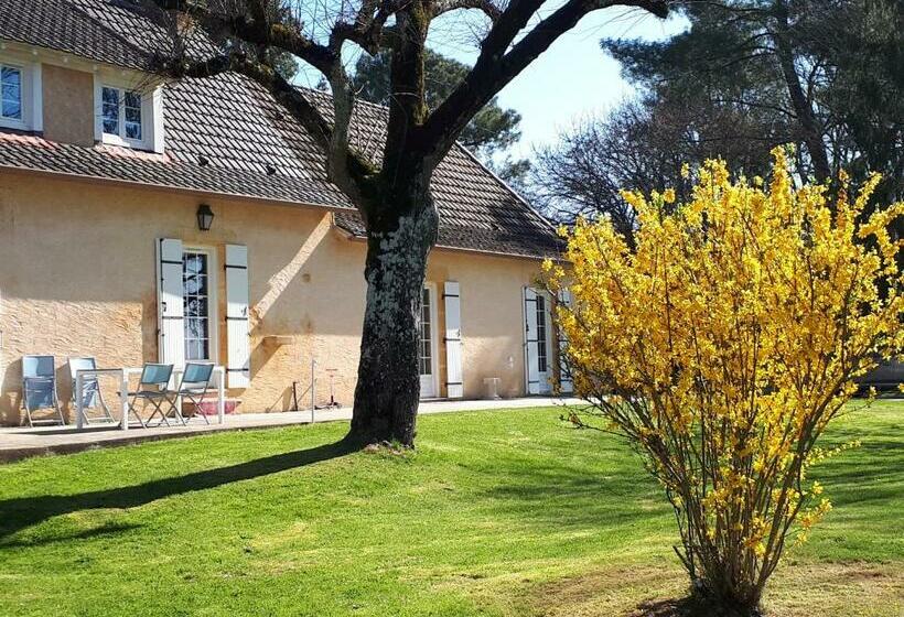 Bed and Breakfast Le Bois Du Bournat